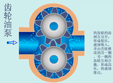 齒輪油泵的結構特點(diǎn)圖片